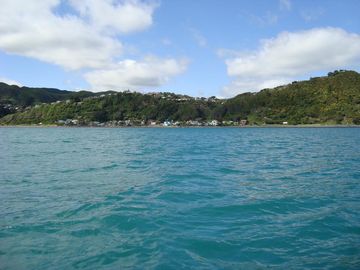 Kapiti Waves Bed & Breakfast Pukerua Bay Buitenkant foto