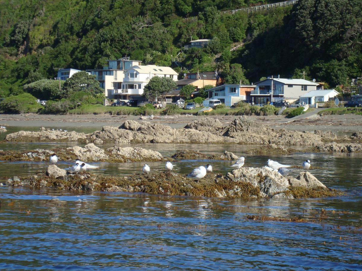 Kapiti Waves Bed & Breakfast Pukerua Bay Buitenkant foto